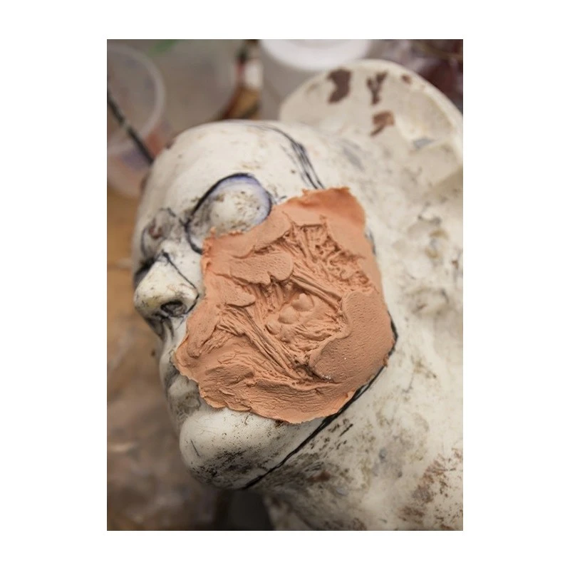 Joue Déchiquetée Zombie 4 Joue Déchiquetée Zombie – Image 2