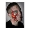 Pommette Zombie 2 Pommette Zombie -Boutique De Cosplay pommette zombie