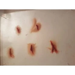 Prothèses Transfert - Coupures -Boutique De Cosplay protheses transfert coupures 2