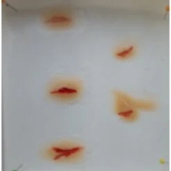 Prothèses Transfert - Coupures -Boutique De Cosplay protheses transfert coupures 3